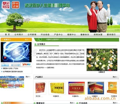 【企業(yè)網(wǎng)站建設(shè),找孝感網(wǎng)絡(luò)公司,大鵬網(wǎng)絡(luò)】價格,廠家,圖片,互聯(lián)網(wǎng)服務(wù),湖北孝感大鵬網(wǎng)絡(luò)科技-